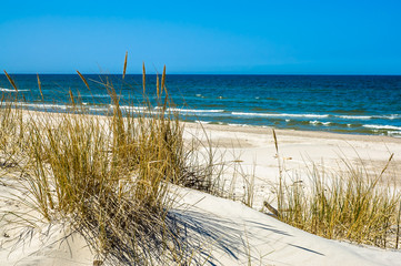 Sea view. Sea with sandy empty beach and grass on a dune