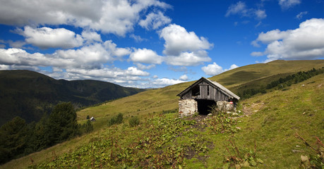 Eine kleine Alm im Thomatal