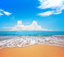 beach and tropical sea