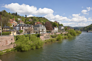 Fototapeta na wymiar Blick auf die historischen Gebäude am Neckar, Heidelberg, Neckar, Baden- Würtemberg, Deutschland, Europa
