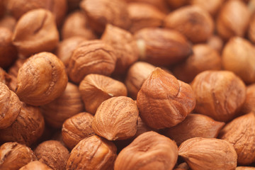 Close up Shot of Hazelnuts