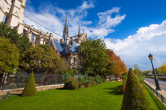 Notre Dame cathedral though trees