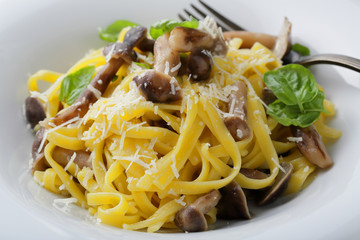  tagliatelle with mushrooms