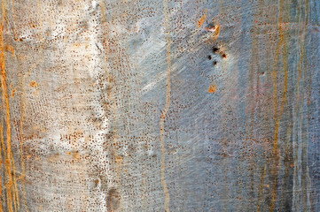 Distress Stainless Steel