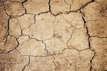Parched Ground