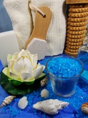 Spa in the colors blue - Aromatic soap, scented bath salt, and oil, and accessories for massage and bath
