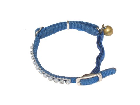 Blue Dog Collar On White Background.