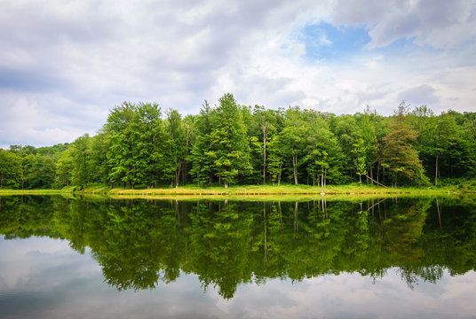 Allegany State Park