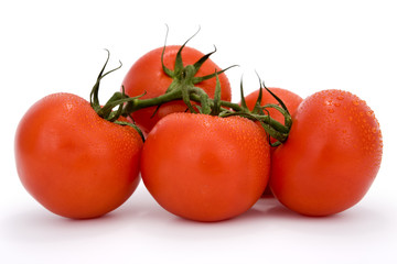 Bunch of ripe tomatoes covered by small drops of water on white background. Clipping path incl.