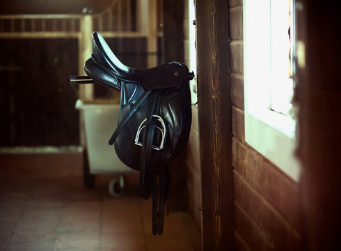 Black saddle