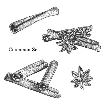 Ink hand drawn cinnamon set