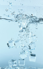 ice cubes in the water