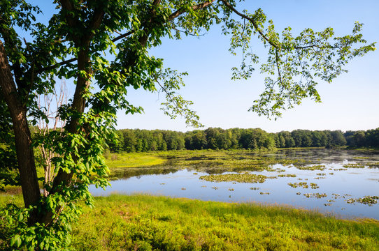 Jamestown Audubon Center And Sanctuary