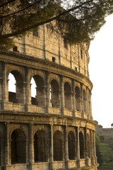 Fototapeta premium The Colosseum amphitheatre in Rome, Lazio, Italy.