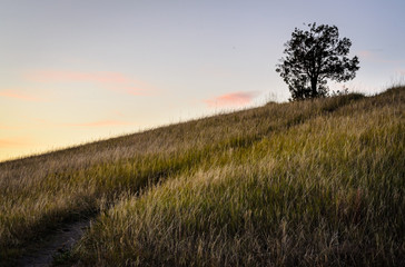 Obraz premium Theodore Roosevelt National Park,