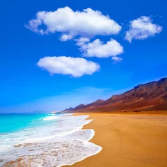 Foto op Plexiglas Cofete Fuerteventura beach at Canary Islands © lunamarina
