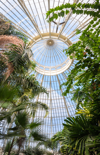 Buffalo And Erie County Botanical Gardens Stock Photo And Royalty