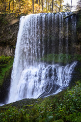 Silver Falls State Park