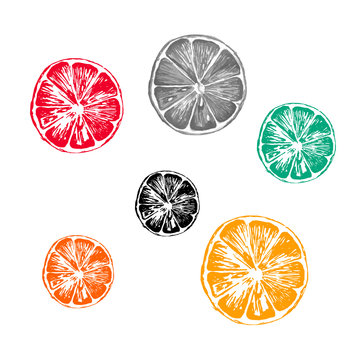 Collection of vector illustration of orange slices    