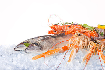 Fresh seafood on crushed ice.