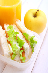 lunchbox with a sandwich, an apple and a bottle of juice for a snack