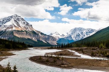 Athabasca River close view with  Columbia Icefield, Jasper national park, Alberta