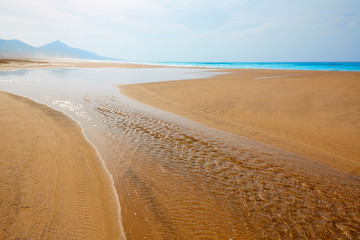 Cofete Fuerteventura beach at Canary Islands