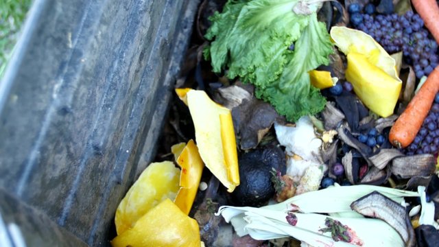 Fruits and vegetables decompose in a backyard compost bin.