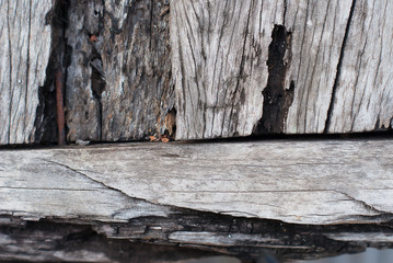 texture of old teak wood