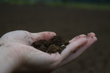 土を持つ女性の手