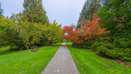 Washington park arboretum