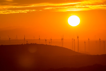 Fototapeta Sunset over wind energy plant obraz