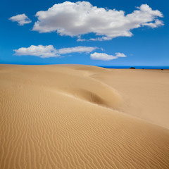 Fototapeta na wymiar Corralejo dunes Fuerteventura island desert
