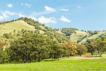 Landscape showing rolling hills in Upper Hunter Valley, NSW, Australia