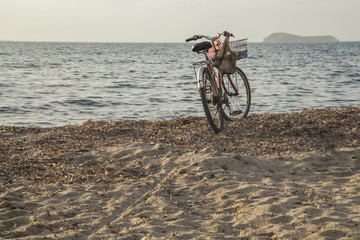 Fototapeta premium A bicycle at the beach