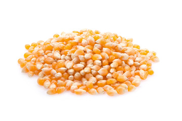 Corn seeds  isolated on white background