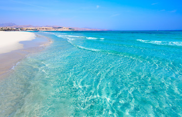 Costa Calma beach of Jandia Fuerteventura - obrazy, fototapety, plakaty