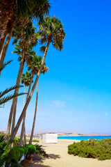  Costa Calma beach of Jandia Fuerteventura