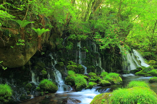 秋田県　夏の元滝伏流水