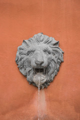 lion head on wall