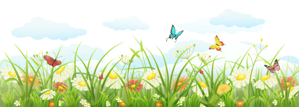Spring summer banner with green grass, flowers and butterflies