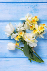 Tender  white and yellow flowers on blue  painted wooden planks.