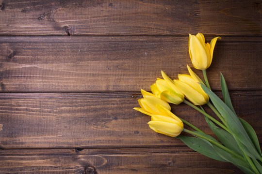 Yellow tulips flowers  on dark  painted wooden background.