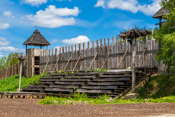 Viking's village in Estonia, Viikingite kala