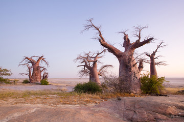 Kabul Island, Botswana © 2630ben