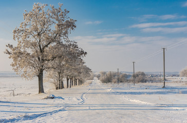 Winter landscape with country road in Sursko-Mykhailyvka village, Ukraine