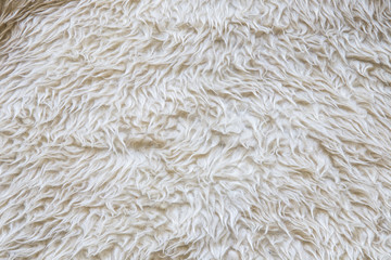 Wool texture for background