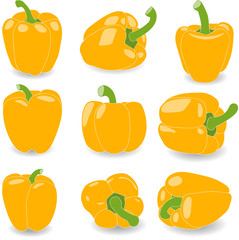 Pepper, set of yellow pepper,  vector illustration on a transparent background