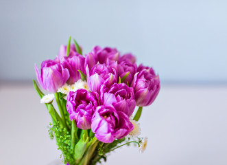 bouquet of tulips, spring scene