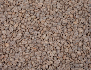full lot of arabica coffee beans